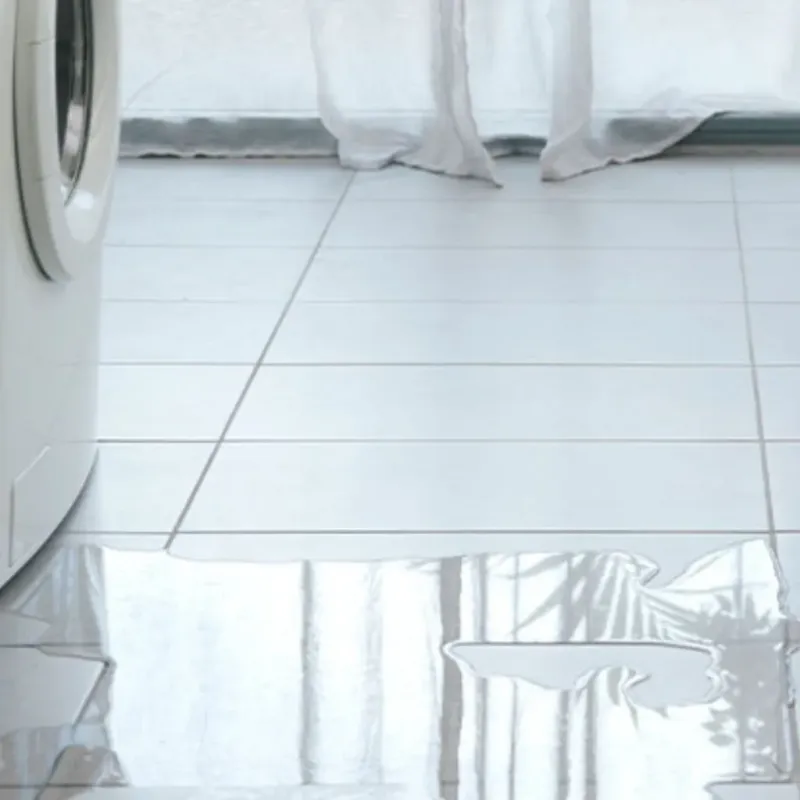 Appliance Leak Cleanup in Lemont, IL
