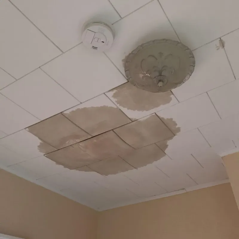 Ceiling Water Damage Repair in Lemont, IL