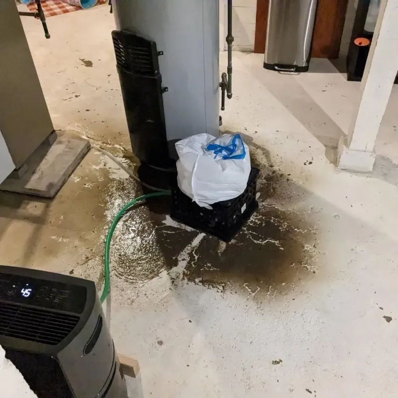 Sewage Backup Cleanup Service in Lemont, IL